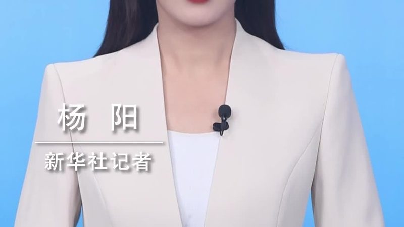 智慧解决方案：揭秘十大品牌排名背后的逻辑